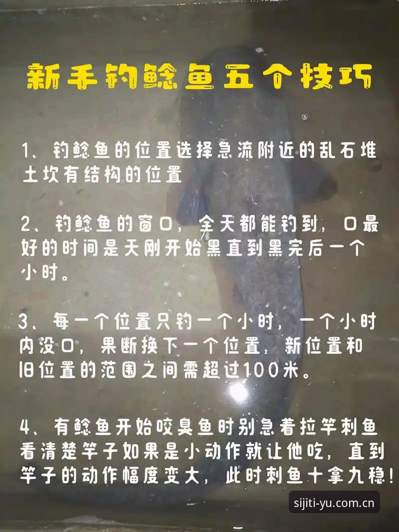 四季体育最新版本下载教程 如何快速完成四季体育最新版本下载?一份给新手的详细操作指南